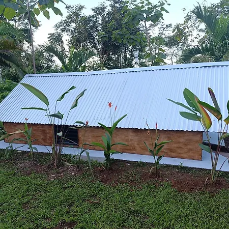 Chava Camping Rio Celeste Exterior photo