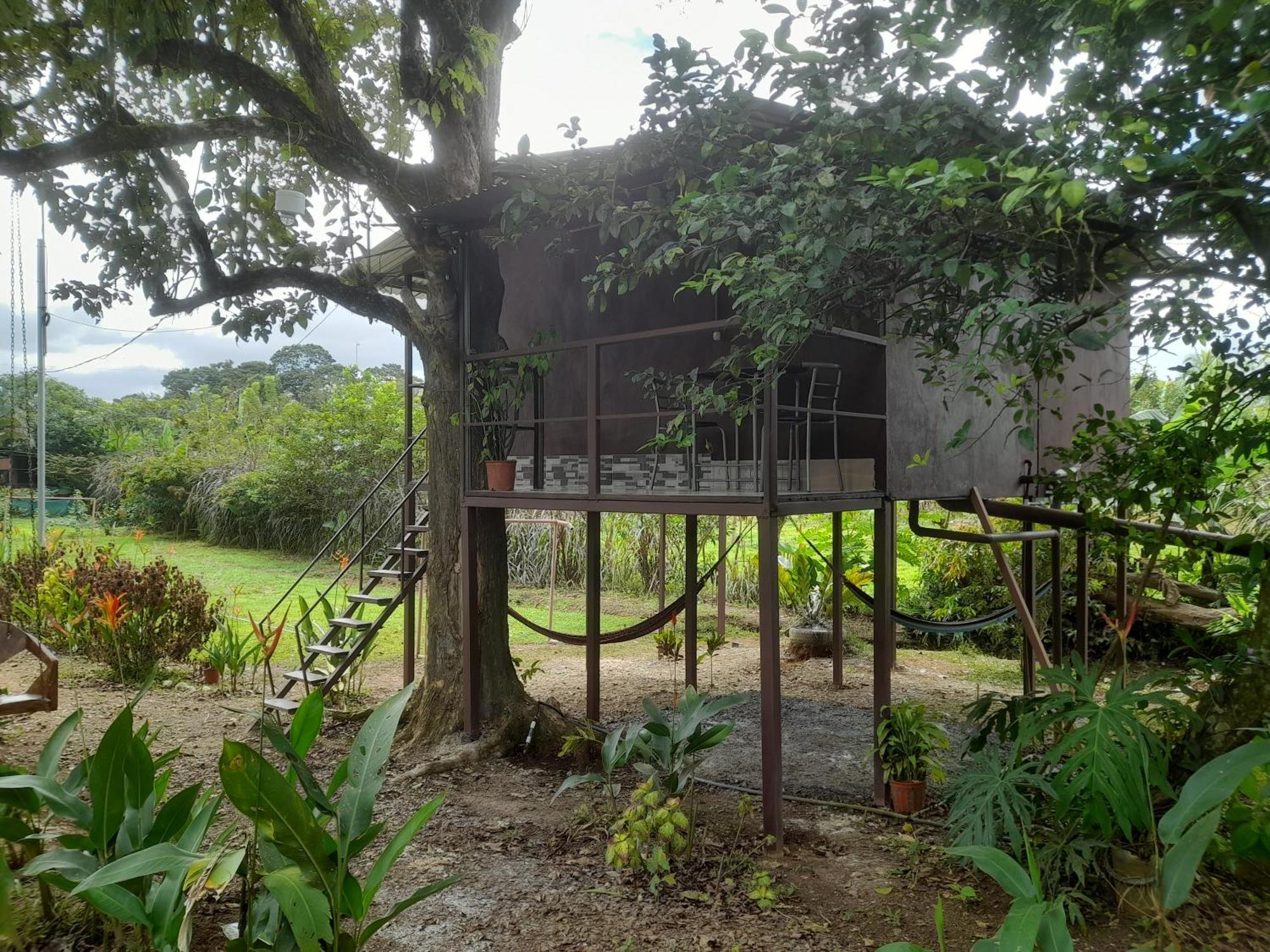 Chava Campsite *