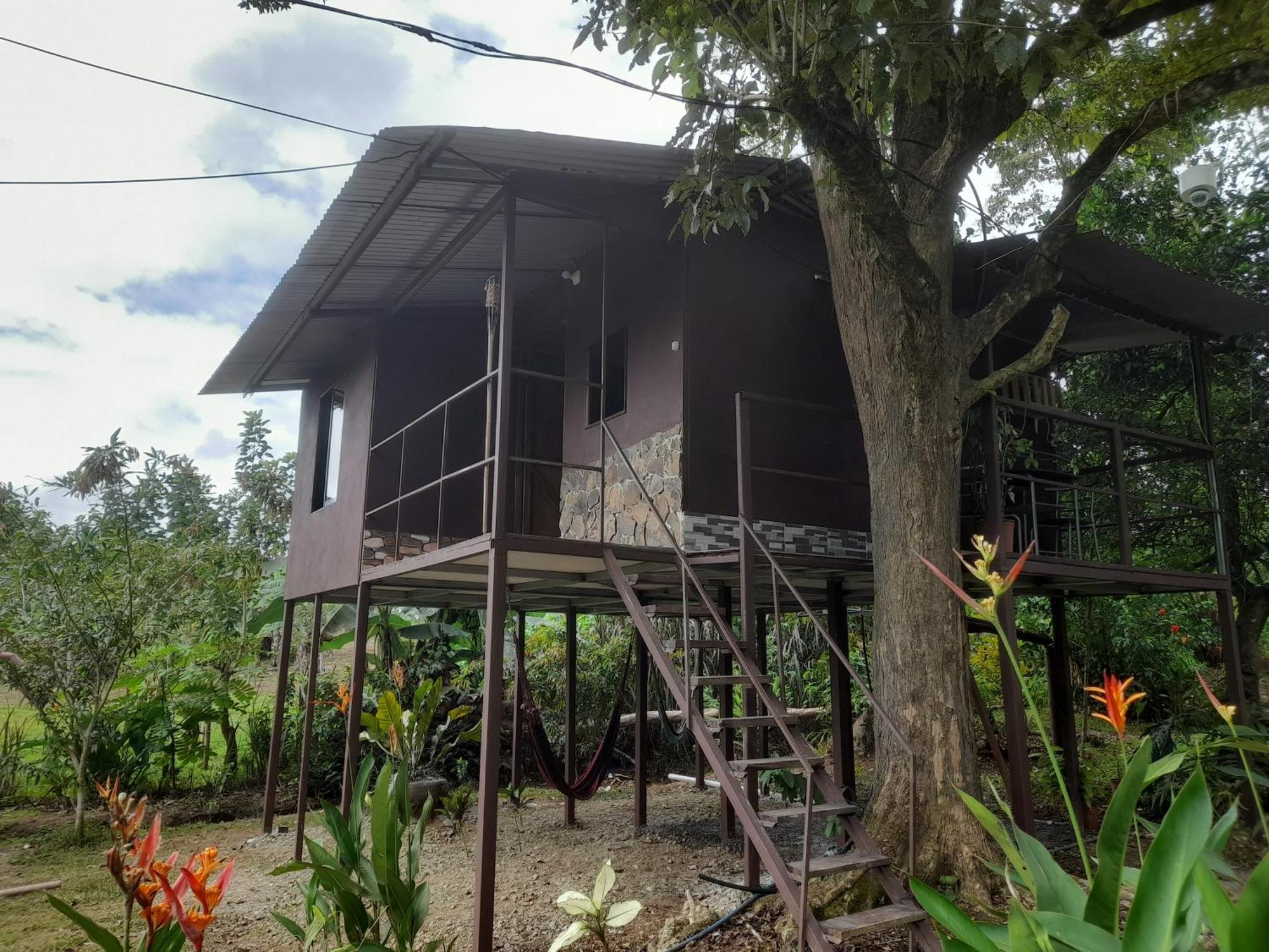 Chava Campsite